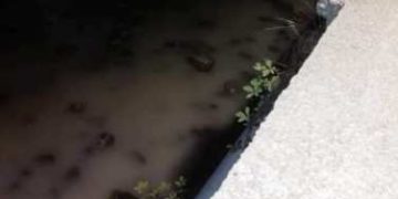 Ողջի գետը կրկին աղտոտվել է
